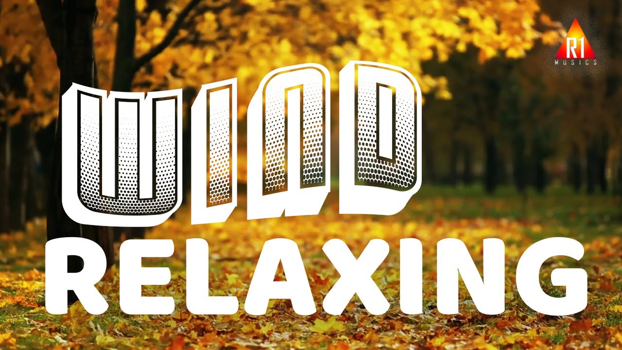 Relaxing Music I 04 I WIND I To Reduce Stress Levels I R1 MUSICS