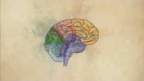 Brain Aneurysms And Blood Flow Dynamics