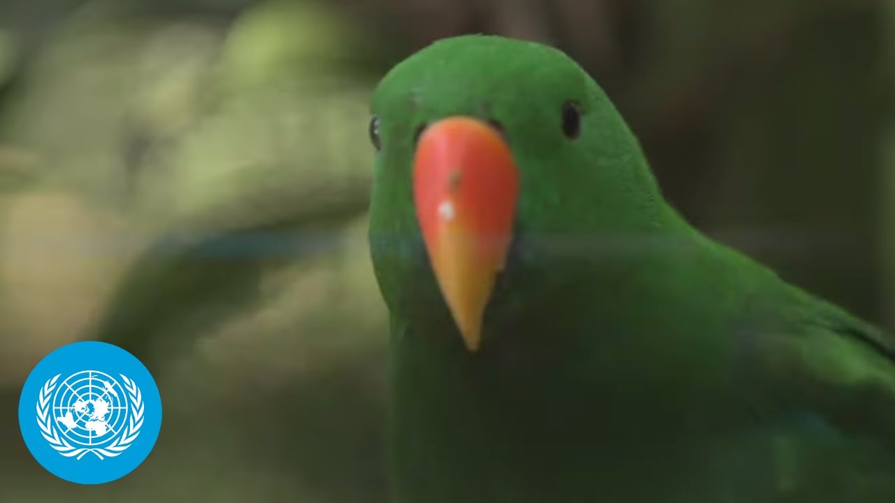 Women in Science: Preserving the Forest’s Treasures