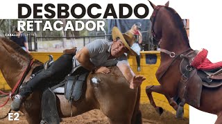 Caballo ❌  retacador y peligroso  e2