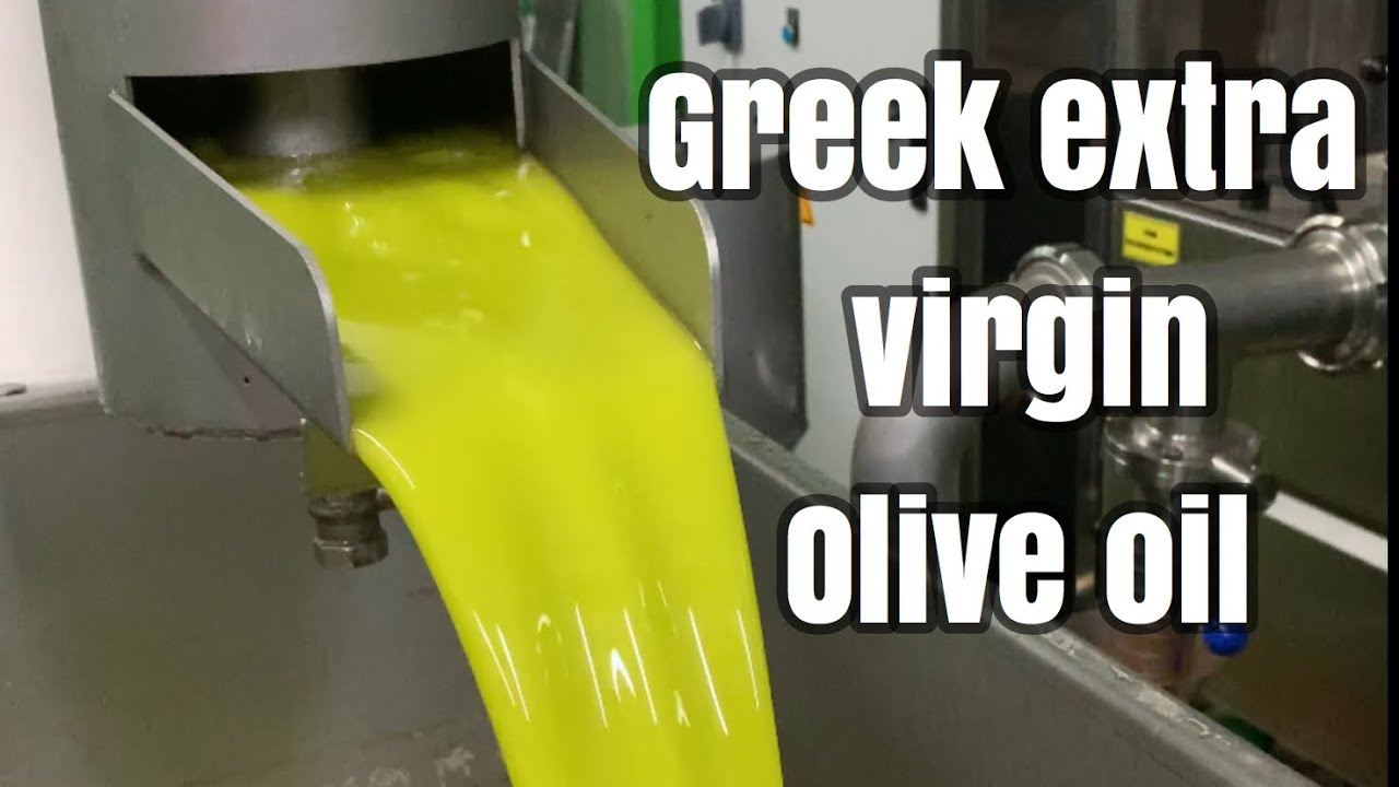 GREEK EXTRA VIRGIN OLIVE OIL...How to harvest olives The complete