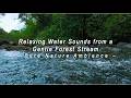 MALUS12 Relaxing Water Sounds from a Gentle Forest Stream – Pure Nature Ambience