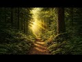 The Light That Follows Her - Cinematic Still Frame Music Video