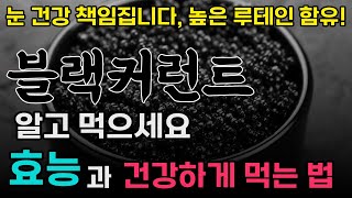 블랙커런트의 효능과 건강하게 먹는법! | 항산화 파워와 비타민C 풍부한 블랙커런트로 건강 챙기기!