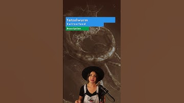 Tatzelwurm, the dragon-worm with the head of a cat 🥴#tatzelwurm #switzerland #cryptids  #folklore