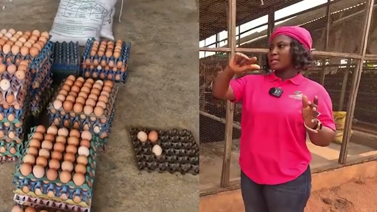 THIS LADY MADE MILLIONS FROM POULTRY