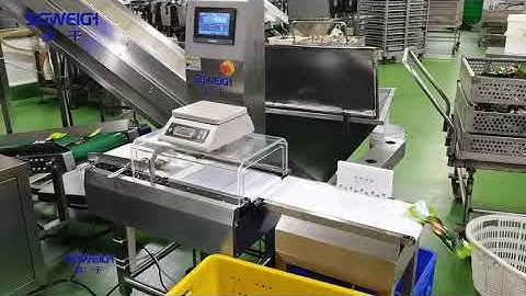 Automatic Inline Bag Checkweigher for Food Industrial with Rejector