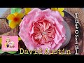 David Austin Gumpaste Tutorial/Gumpaste Flowers/Sweetblossom