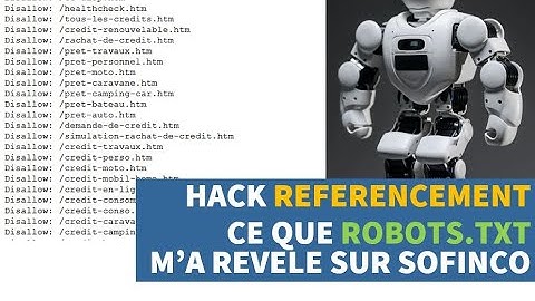 Seo facile 016  Découvrez un Hack référencement avec le robots.txt