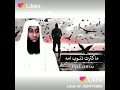 حالات محاضرات