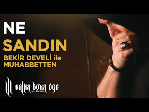 Ne Sandın Canlı Yayından ( şiir ) | Talha Bora Öge & Bekir Develi