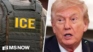 ICE protesters sentenced to up to 100 years in prison by Trump-appointed judge