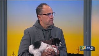 5th annual mega adoption event coming to Stramler Park Sunday