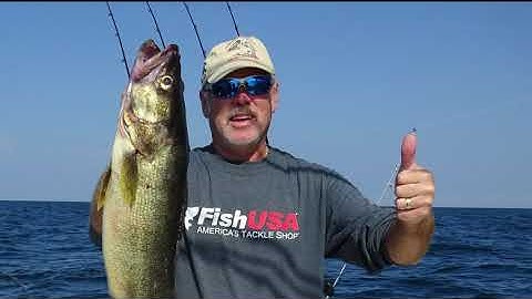 The VQ Lead Core Trolling Set Up For Walleye on Lake Erie