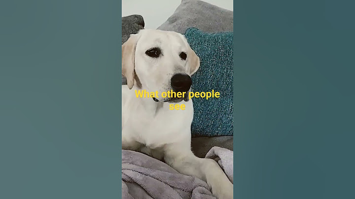 what other people see vs what I see