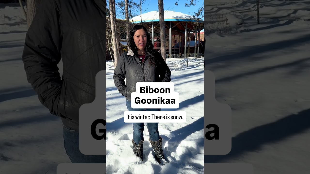 FDLTCC Ojibwe Phrase of the Week - Biboon Goonikaa