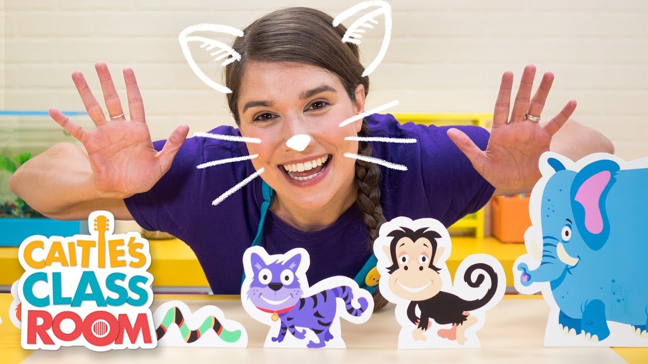 Caitie's Classroom Live - Animals! - In today's show, we're exploring animals! If you missed us live, we'll be back again on Tuesday at 11am!

Be sure to check out the brand new Caitie's Classroom 