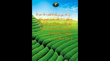 ( إن الله ربي وربكم فاعبدوه ) آيات متشابهة