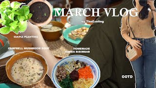 Daily life in March ☘ of a homebody ☀| homecooking | selfplanting | OOTD