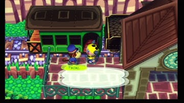 Animal Crossing (GC) widescreen code in Nintendont