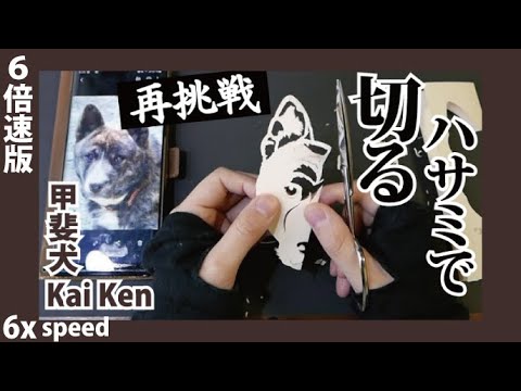 6x 再挑戦 甲斐犬/Kai Ken【下描きなし・ハサミの切り絵/細かい作業をじーっと見たい方へ】【６倍速版】[2020/5/9撮影]