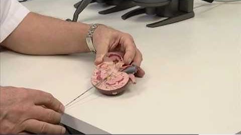 ARTUS: medical simulator 3D augmented reality based on VP MicroLab technology