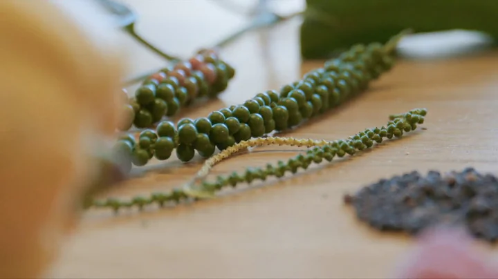 New business models in greenhouse horticulture