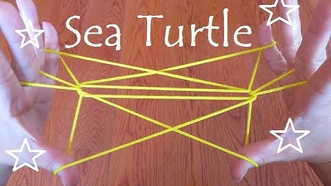 ((Level: Easy)) Sea Turtle     *Cat