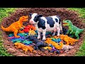 Mencari Dan Menemukan Mainan Hewan, Sapi, Kerbau, Onta, Gajah, Kuda