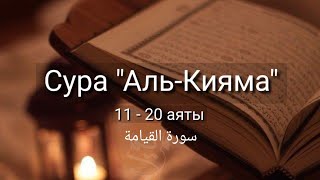 Выучите Коран наизусть | Каждый аят по 10 раз 🌼| Сура 75 "Аль-Кияма" (11-20 аяты)