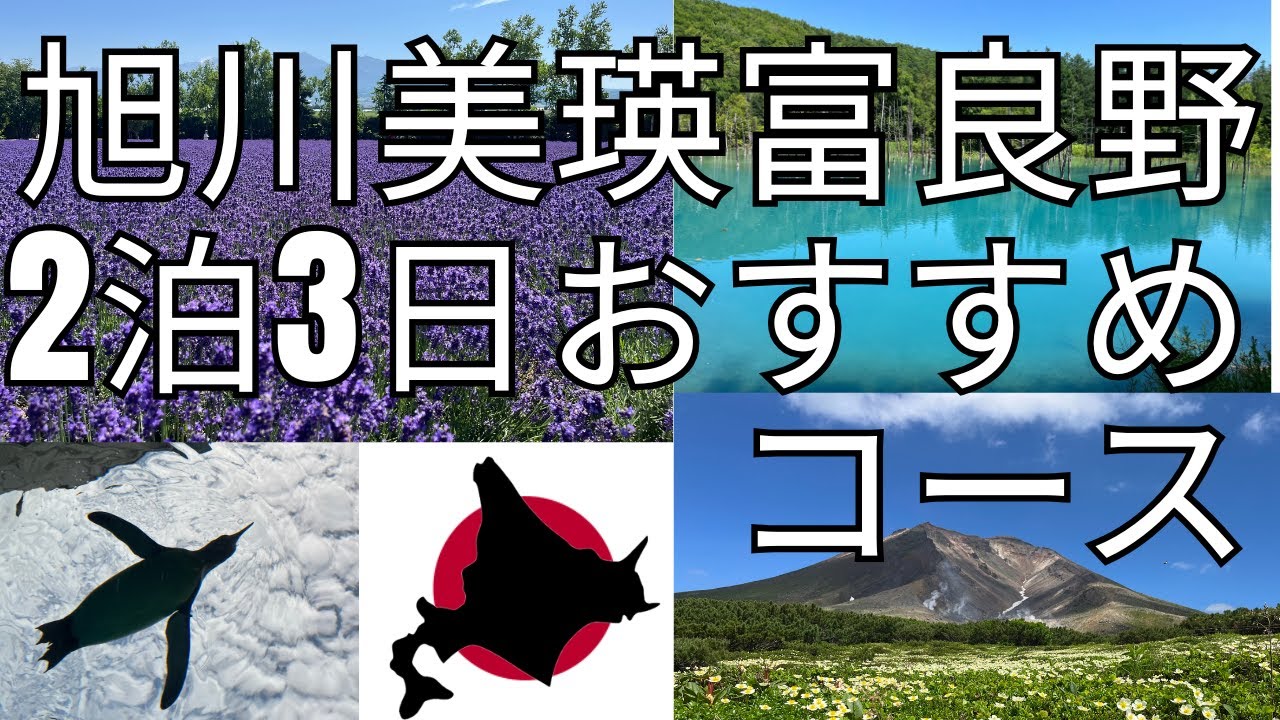 【旭川・美瑛・富良野観光】２泊３日で旭山動物園、旭岳登山、ファーム富田（ラベンダー）、青い池など充実した旅行ができました。