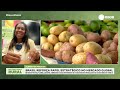 Record News Rural - 06/08/2026