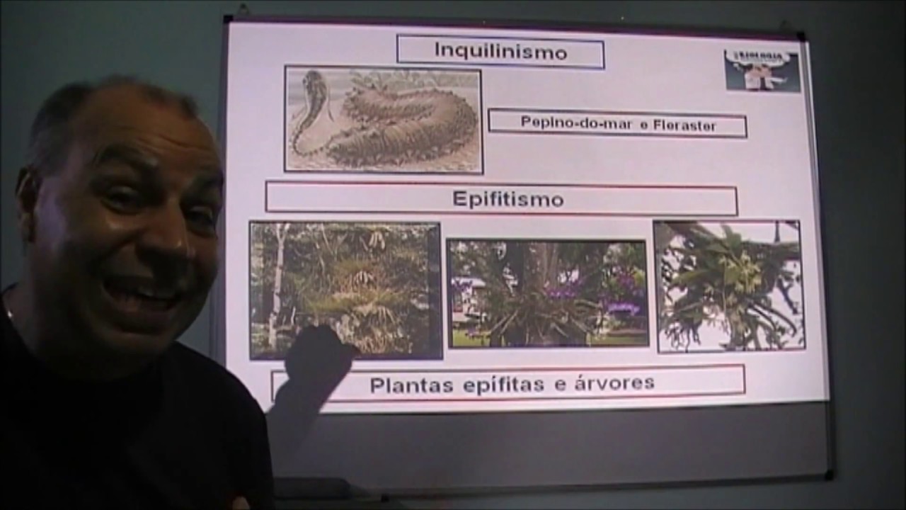 Rodovan  Relações ecológicas 2