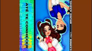 Cammie & Bruno Gadiol - Até te Conhecer (Male Version)