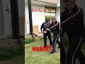 八分板３枚を割って見ました。