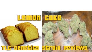 The TLC Genetic Show : Lemon Cake (Strain Review)