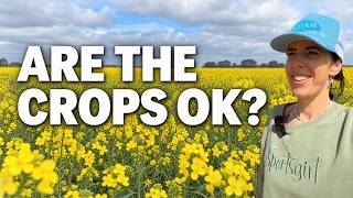 Crop Inspection on our Family Farm | Keith, South Australia
