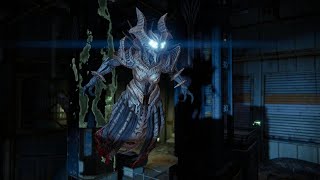Omnigual Fireteam No Emote clip 4:55