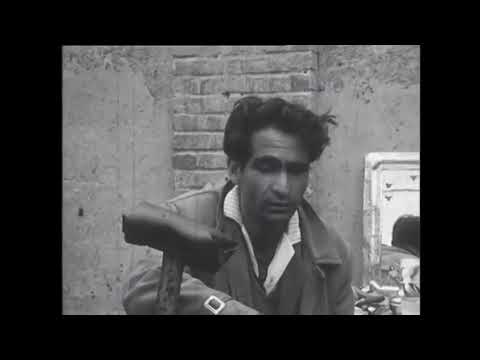 آرایشگاه آفتاب ناصر تقوایی  