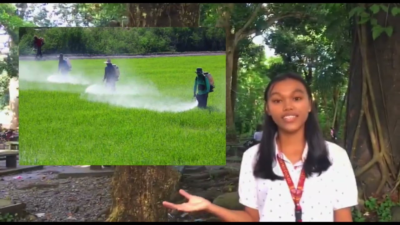 Factors Influencing Toxicity