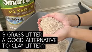 SMARTCAT GRASS LITTER REVIEW | SVEN AND ROBBIE by Sven and Robbie 5,420 views 1 year ago 7 minutes, 52 seconds