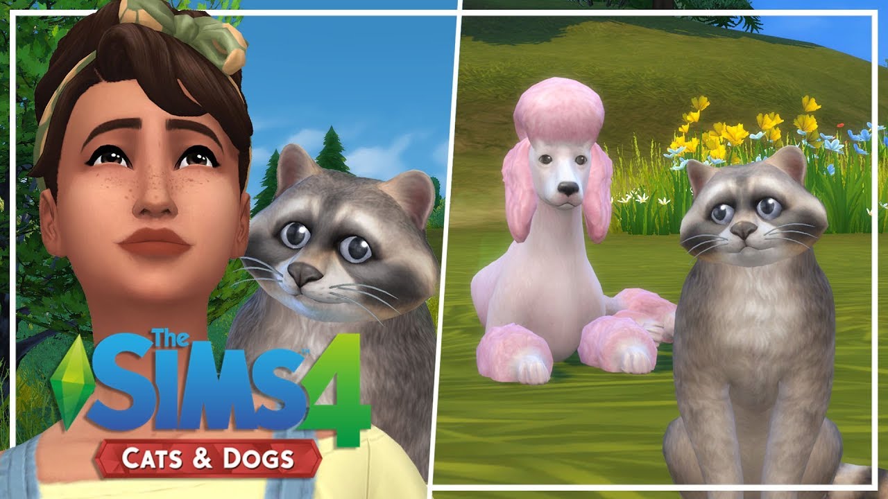 THIS IS IMPAWSIBLE // The Sims 4: Wolf Pack Challenge #3