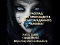 РАСКЛАД "Что происходит в жизни загаданного человека"