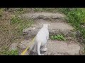 Bonus video at top of Saipan, I went up a little higher. Happy 70th Birthday to ME!! 360 Degree view