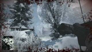 BC2 Knife bug