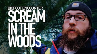 Bigfoot Encounter | Scream in the Woods | 4k