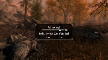 Weird Camera Glitch [Skyrim]