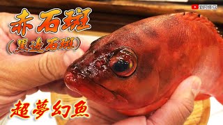 赤石斑的處理｜新鮮直送 超夢幻魚種-赤石斑(黑邊石斑) 一魚兩吃的極致享受《味留一升庵》@Chefkzk 2021/09/28