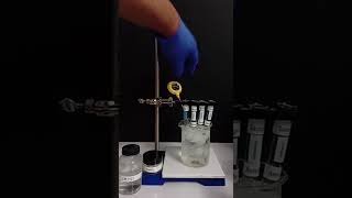 ORGANIC CHEMISTRY Functional Group ID Analysis: Nitrous Acid Test (All Amides)