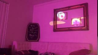 Home visual with Tagtool
